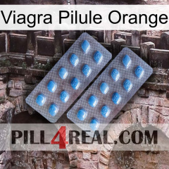 Viagra Orange Pill viagra4